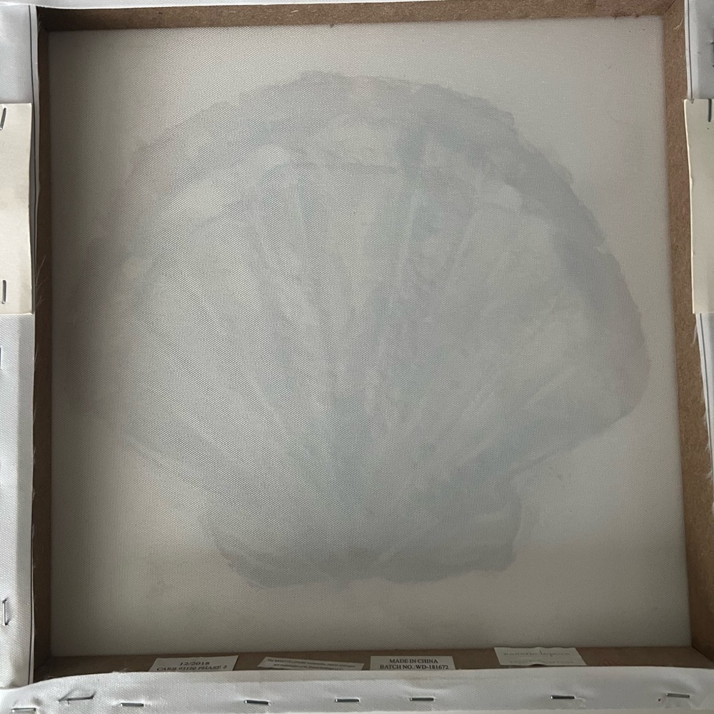 14X14 Shell Picture - Picture 2 of 3